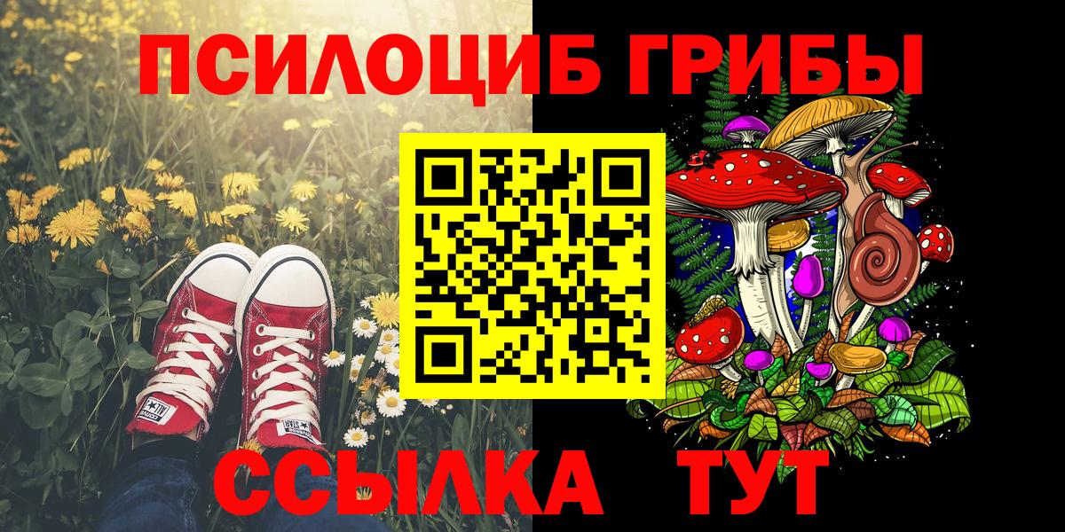 Геленджик  Псилоцибиновые грибы прущие грибы  Вход с VPN  Галлюциногенные грибы Psilocybe 
