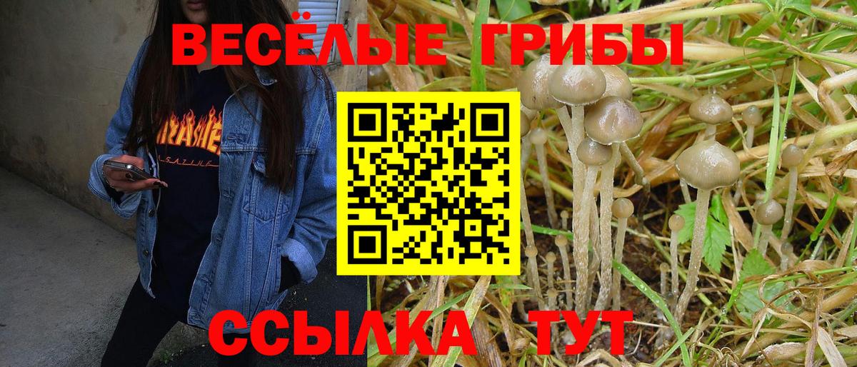 Псилоцибиновые грибы GOLDEN TEACHER Геленджик